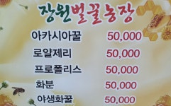 석송령심마니