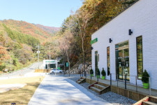 캠프인더숲