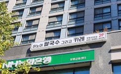 하노이쌀국수그리고카레