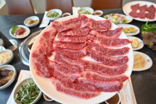철마한우초원