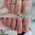 레푸스 춘천석사점