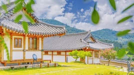경주 춘추관 한옥펜션