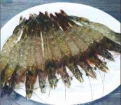 김천앞바다