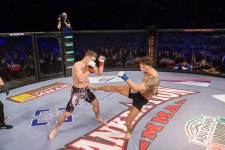 복싱 MMA주짓수 마이티짐