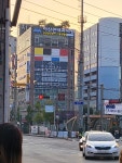 손한나의원