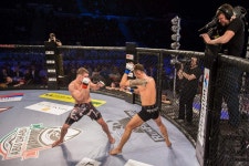 복싱 MMA주짓수 마이티짐