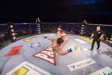 복싱 MMA주짓수 마이티짐