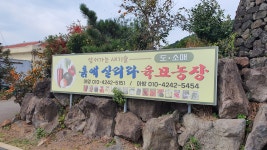 흙에살리라육묘농장