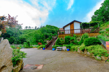 더포레스트펜션