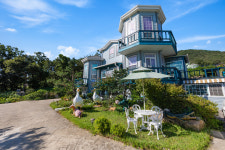 콘체르트애견펜션