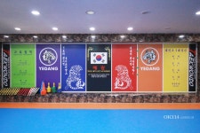 예강태권도멀티스포츠