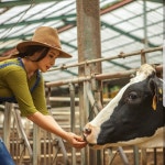 평창보배유가공방