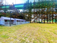 아이조아요양보호소 동탄점