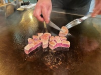 테판 진