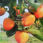대박이농원