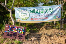 베리굿체험농장
