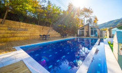 체리몽애견풀빌라