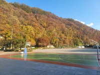 뜨락