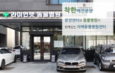 착한애견분양강아지 수원광교본점