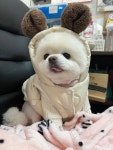 늘조은동물병원