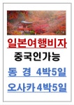 세종글로벌국제여행사