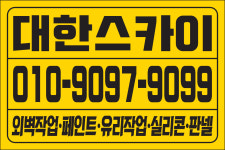 대한스카이