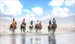 이솔팜빌리지 소리재