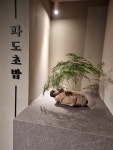파도초밥