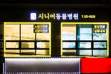 시니어동물병원