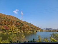 몽실이네