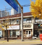 미비포유