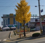 하나로마트 충주축협안림점