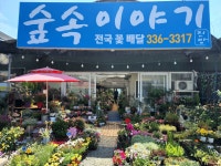 숲속이야기