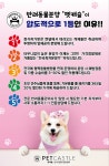 펫캐슬 의정부 강아지분양 고양이분양 애견샵