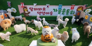 달려봐요댕댕이숲 애견유치원호텔