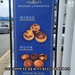 도리스 파티세리