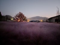 더 다락 농장 식물카페