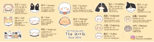 더귀여워 애견카페