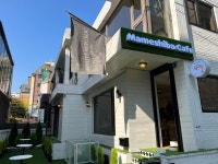 시바견 루이몽 강남본점