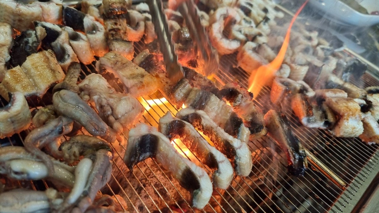 고창풍천장어