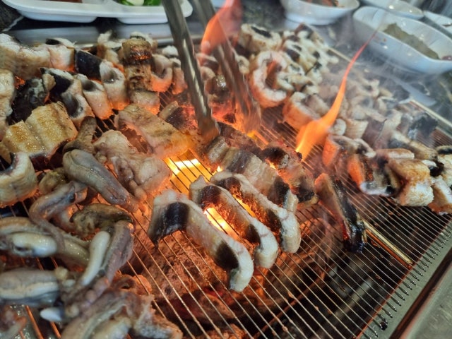 고창풍천장어
