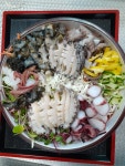 포항수림물회