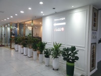 골프존 캔버라스크린골프