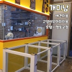 개미남