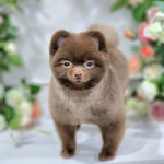 몽말순