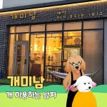 개미남