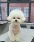 몽말순