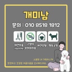 개미남