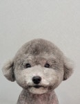 똘이살롱