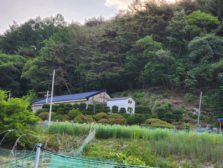 예찬교회 사진 3